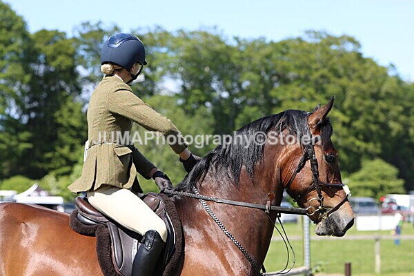 IMG_4367 - Working Hunter