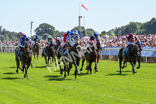 120725-Race 3-Fox Legacy-0226 - Race 3 3.10pm John Smith's Cup Handicap