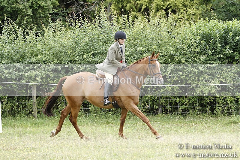 BVR160717-2328 - Working Hunter Championship 16/07/17