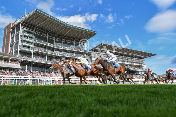 yr21052022r7-39 - Race 7: 5:15pm Reg Bond Always and Forever Stakes