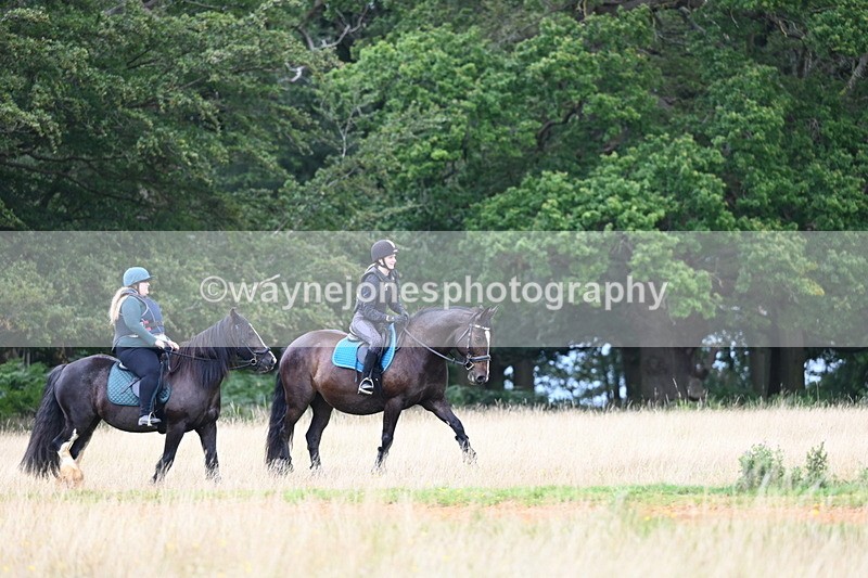 DSC_5115 - Time at Statue 11:10 to 11:42