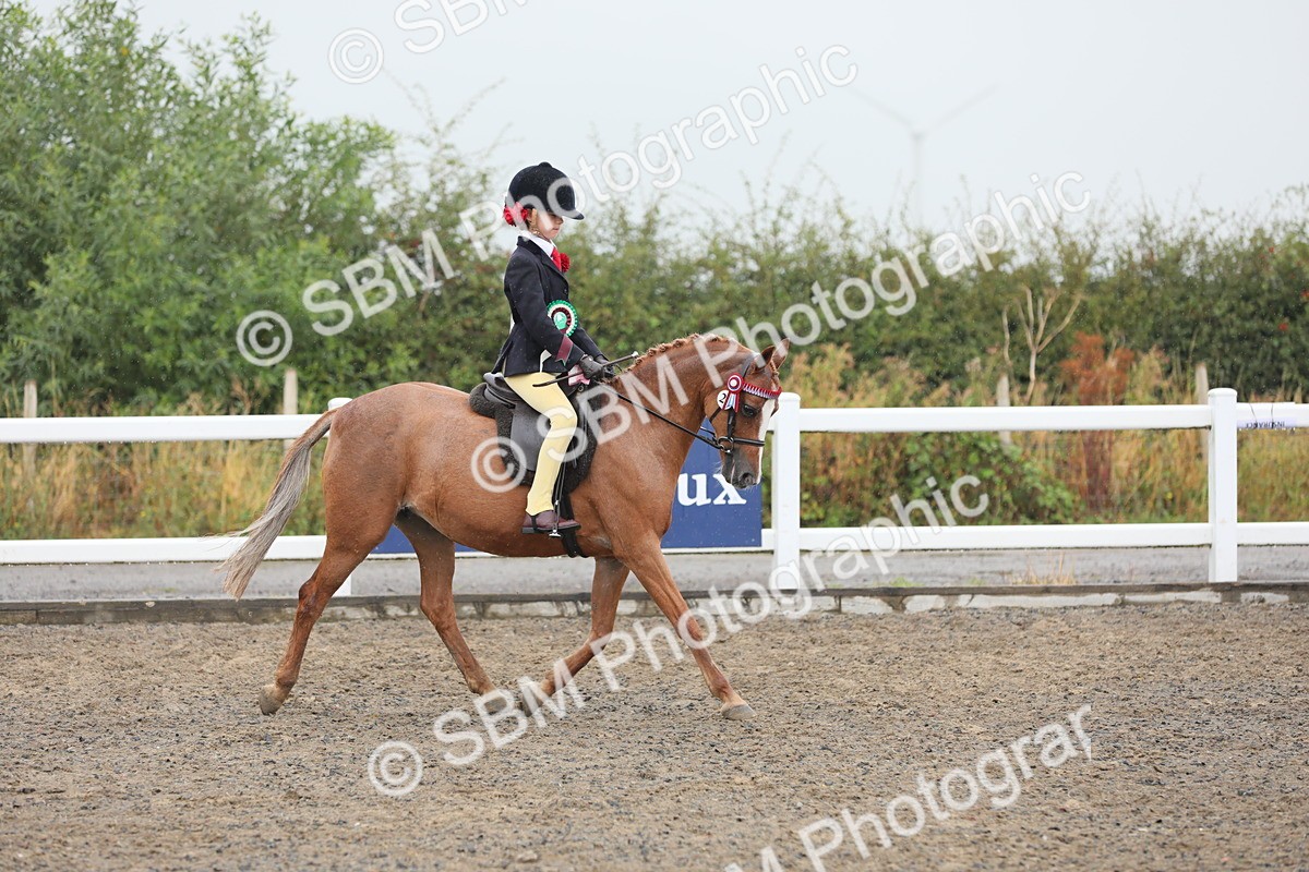 SBM_20657 - Class 804 - Ridden Veteran Pony
