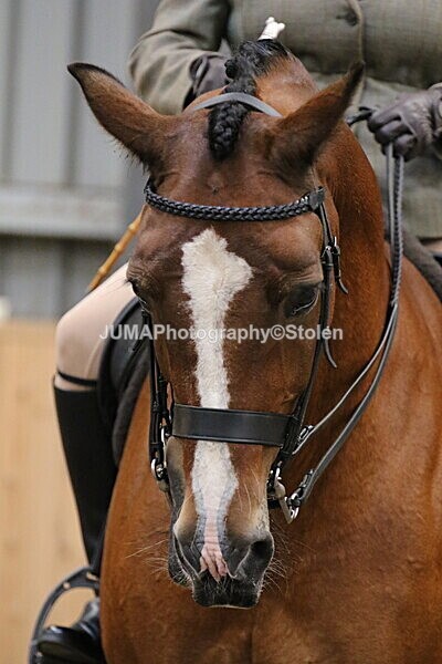 SIAL2905 - Sunday 14th Ridden