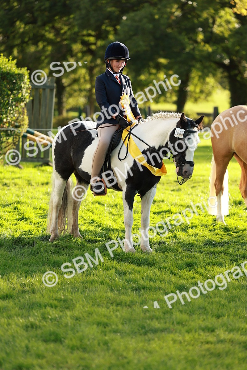 SBM_29310 - Novice & newcomer Supreme Championship
