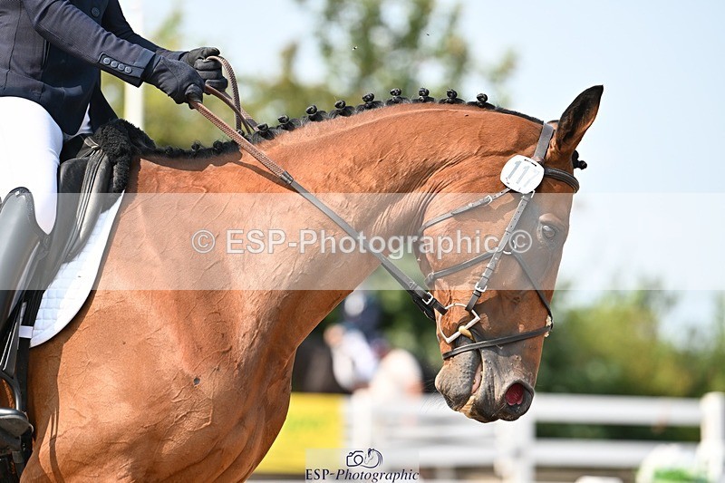 250816-134509-04746 - 117-Sophie.HawkeENORMOUSE