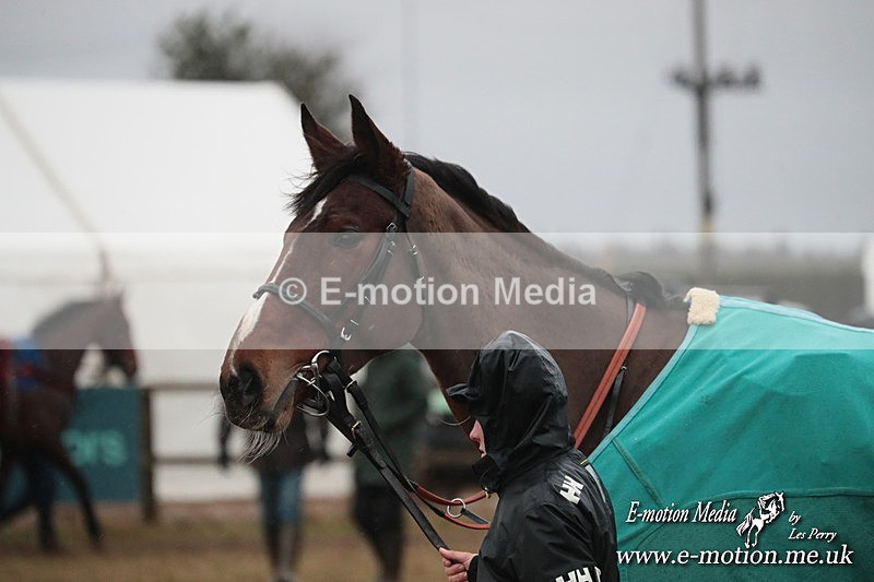 PtP 260125 985 - Cocklebarrow Point-to-Point racing with the Heythrop Hunt 26/01/25