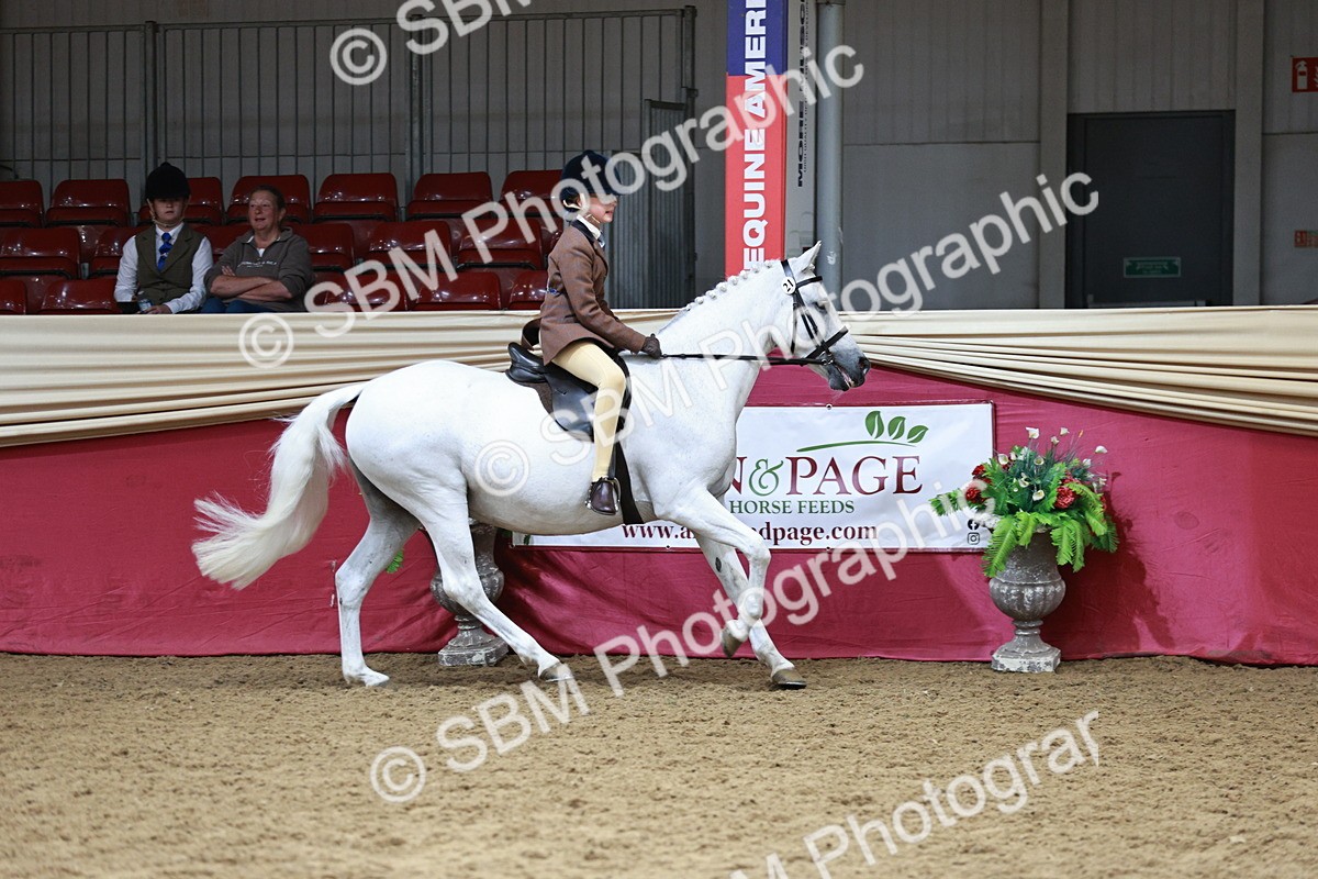 SBM_02994_Class 5a - Area - Ridden Veteran - Vicky Gutteridge
