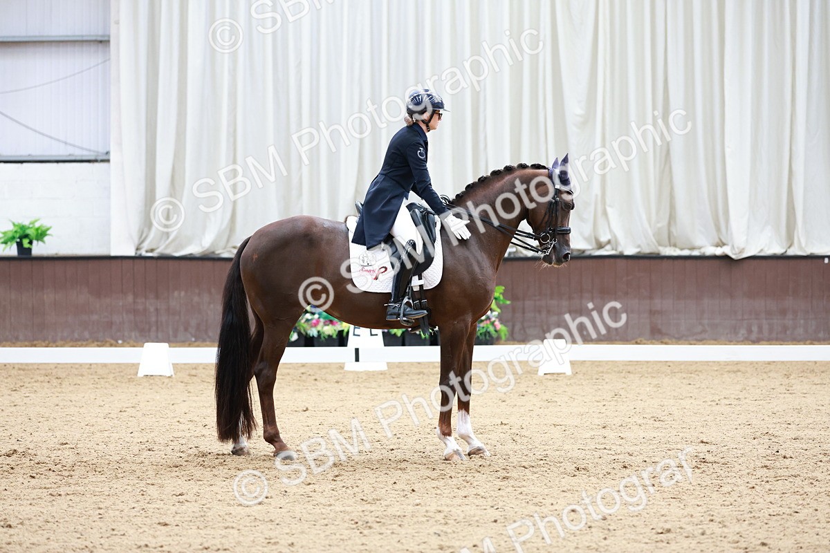SBM_018117 - Class 15 - FEI Junior