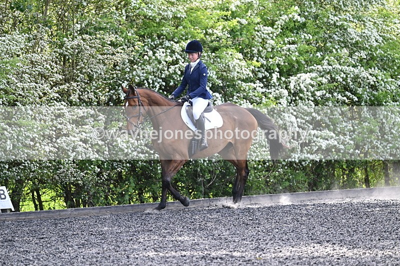 WJ7_8531 - Time 11:11 to 11:29