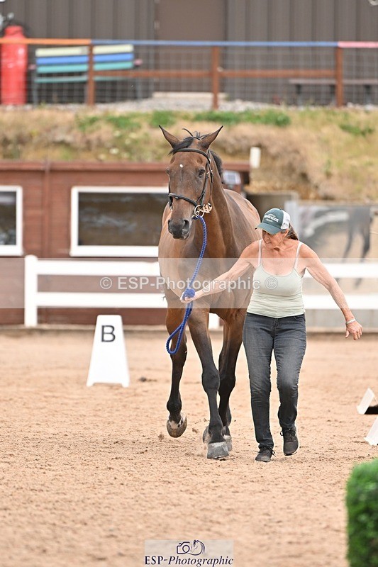 250716-155513-02280 - Trot Up 3.30 to 4.30