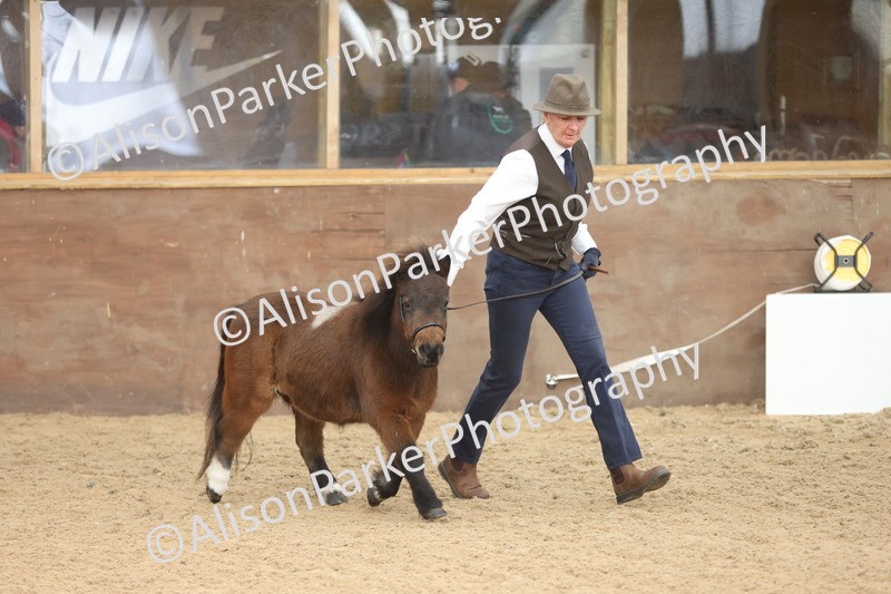 20251109-0297 - Class 13 - Mares 4 Years and Over