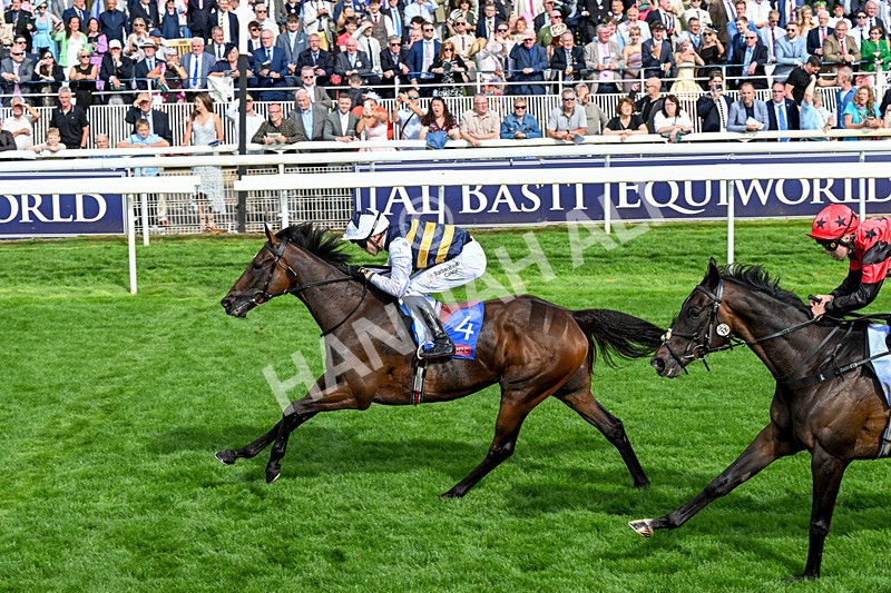 190826-Race 5-Small Fry-0676 - Race 5 16.10pm Sky Bet Stayers Handicap