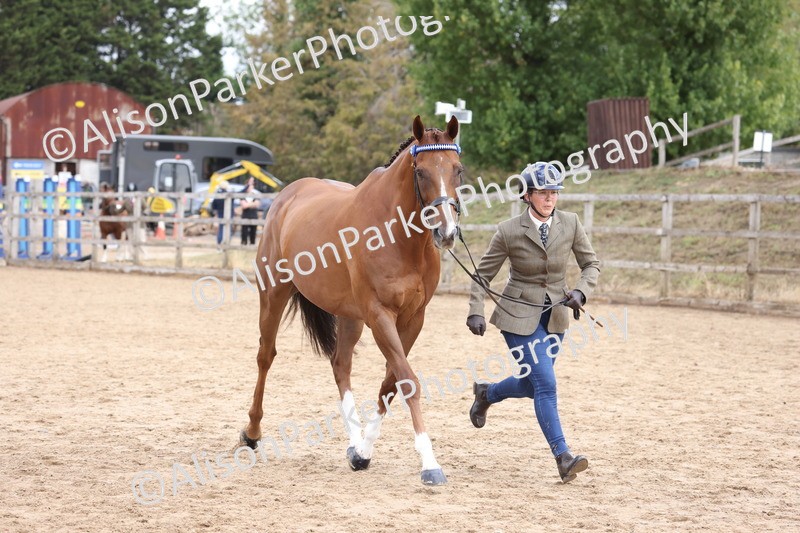 20260831-1971 - Class 5 - Retraining of Racehorses