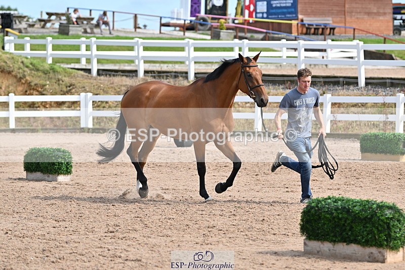 240717A-161439-03370 - Trot Up 4pm to 5pm