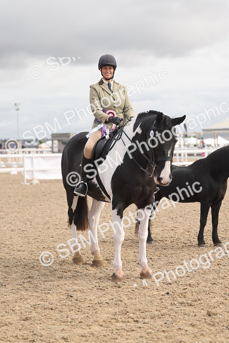 SBM_04515 - Class 18 - Handsomest Gelding (IH or Ridden)