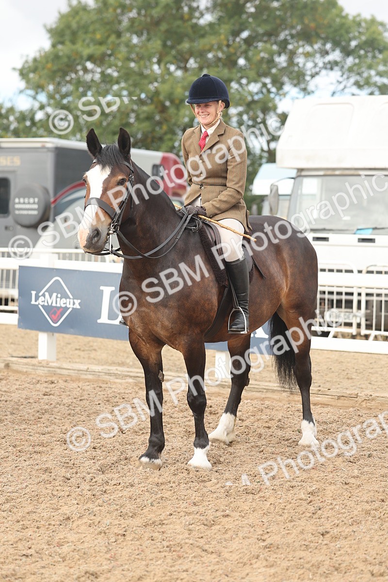 SBM_01936 - Class 14 - Ridden M&M Wildcard