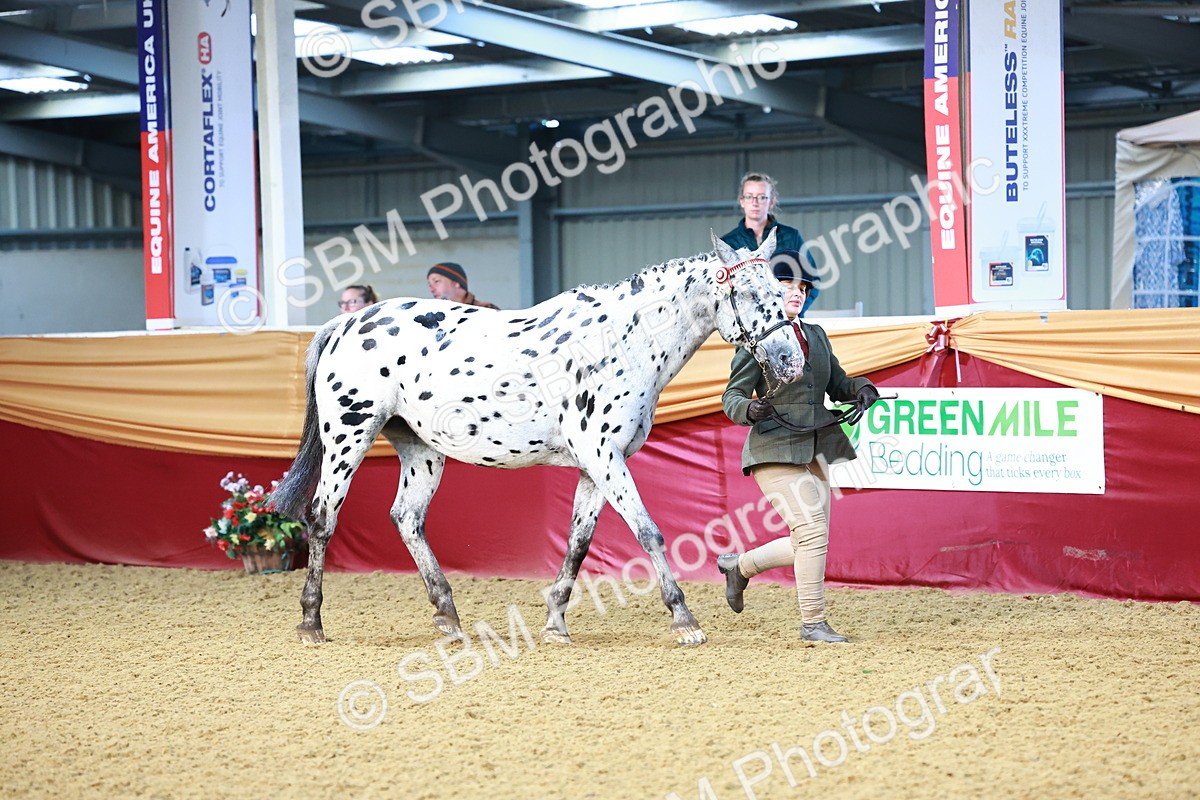 SBM_21757 - Class 901 - Supreme Final - IH  Diamond