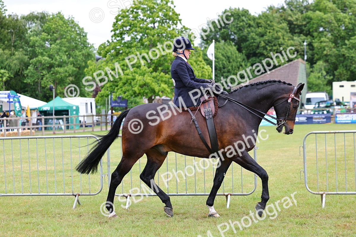SBM_02905 - Class 9-11 Side Saddle including LIHS Rising Star Ladies Show Horse