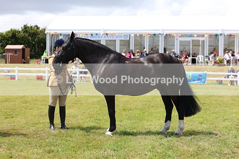 3E7A2164 - Class 10: Open Cob