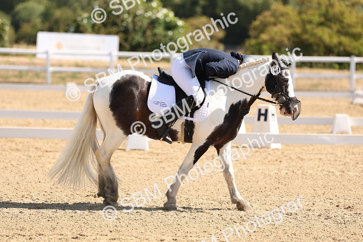 SBM_001044 - Intro 2