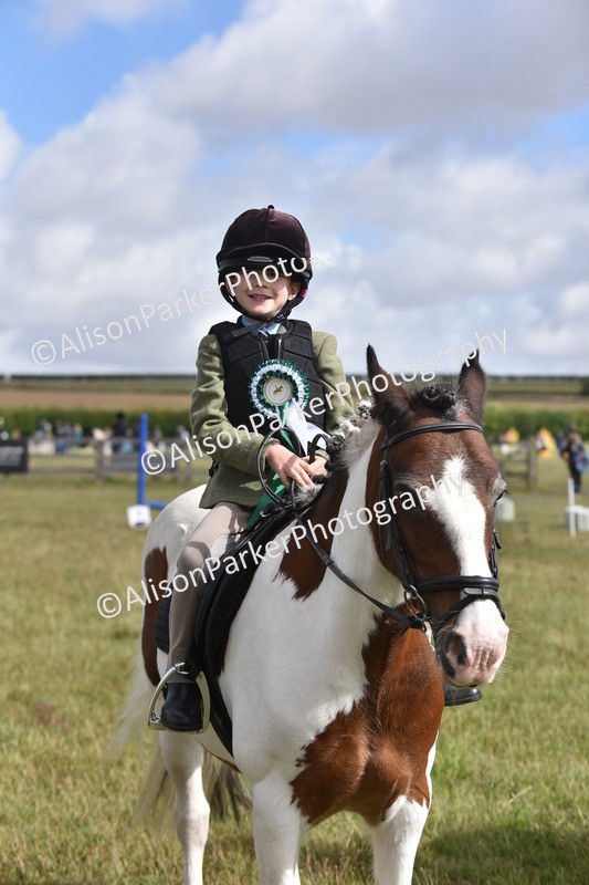 20250831-0508 - Class 7 - Absolute Novice 35cm