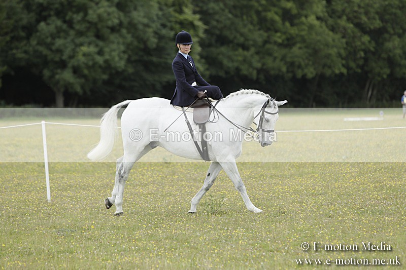 BVR160717-2367 - Side Saddle Classes 16/07/17