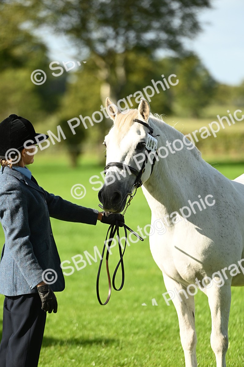 SBM_15886 - S1 - TSR in Hand Horse & Pony Showing
