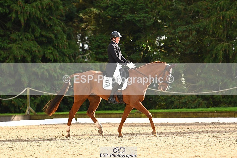 231021-151255-20786 - 256-GOODFELLA.GIO-Finley.Atherton-DR