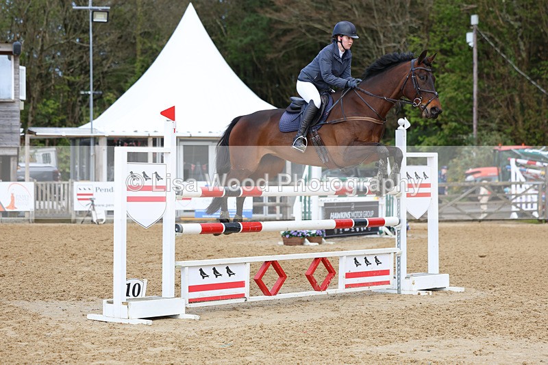 3E7A2086 - Class 8: Senior Foxhunter/1.20 open