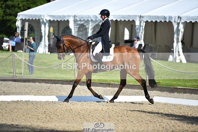 230525-091145-01553 - 303-JESMOND_RENARD-Susie_Berry-WEDTrotUp+DR