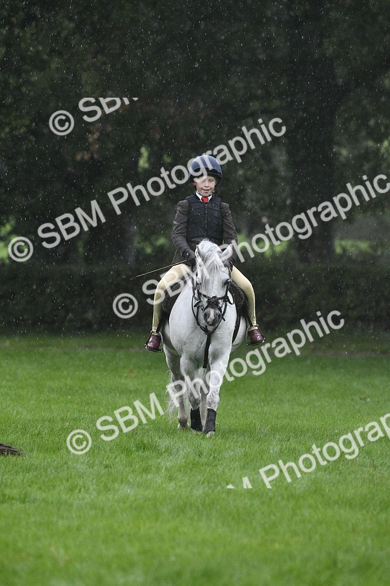 SBM_37117 - S31 - Novice & Newcomer Working Hunter Pony