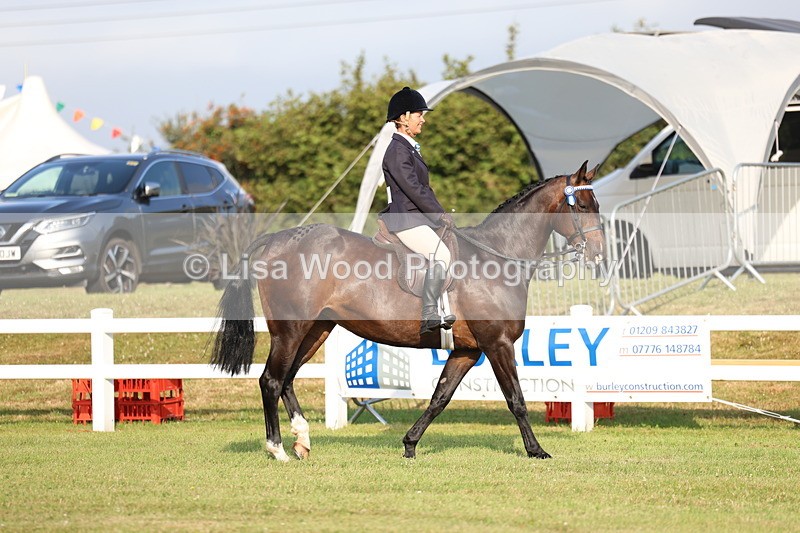 3E7A7633 - Class 1: Rising Star Small Hack/Riding Horses