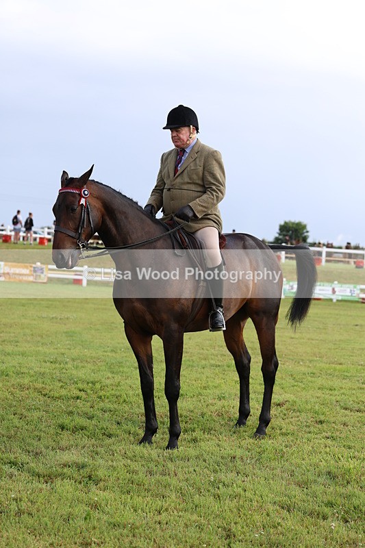 3E7A8184 - Class 2: Rising Star Large Hack/Riding Horse