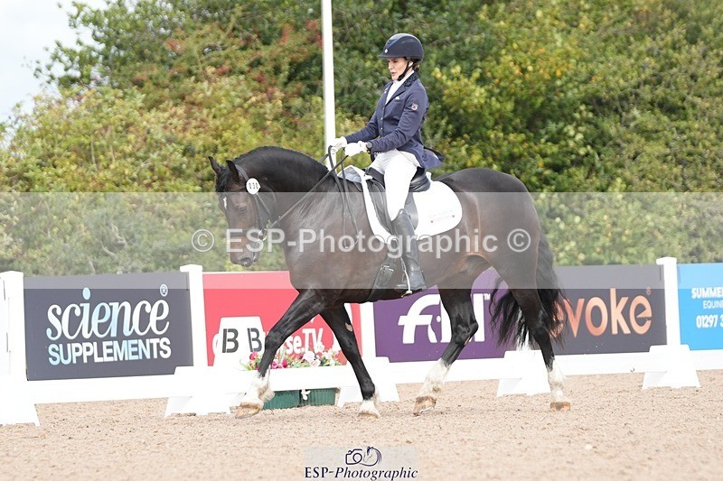 250906-111612-01970 - 030-Rebecca.Ezra.-.HamMaesmynach.Mr.Sam