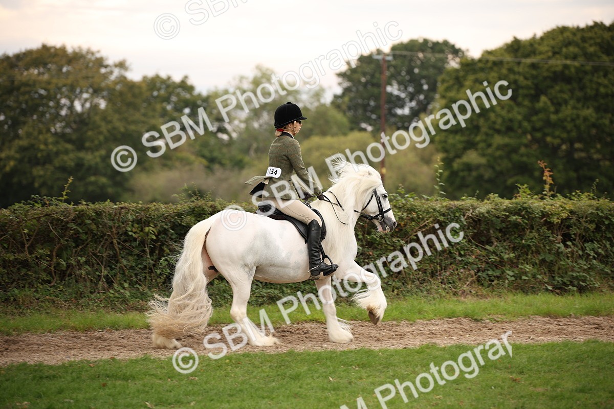 SBM_73454 - S68 - Traditional Cob Ridden