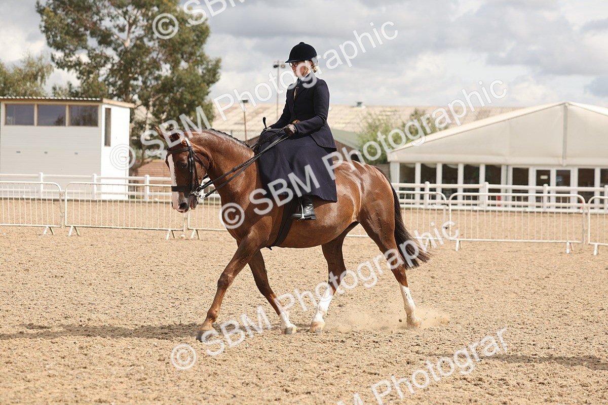 SBM_06354 - Class 22 - SSA - Equitation