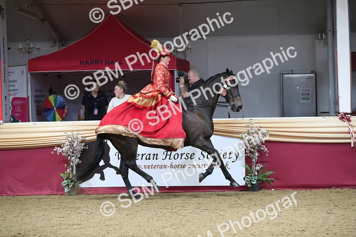 SBM_12142 - Class 107 Ridden Costume- Astride Adult (20+)