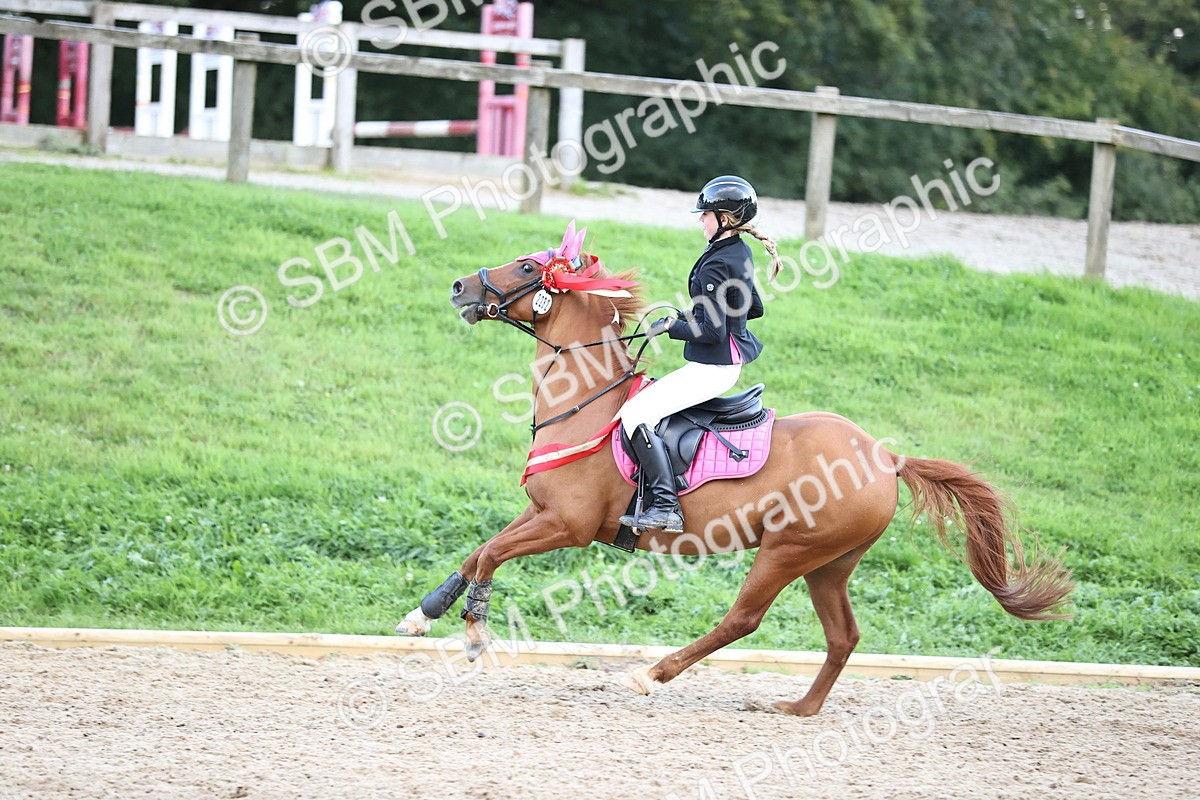 SBM_54453 - Supreme Championship 70cm 75cm