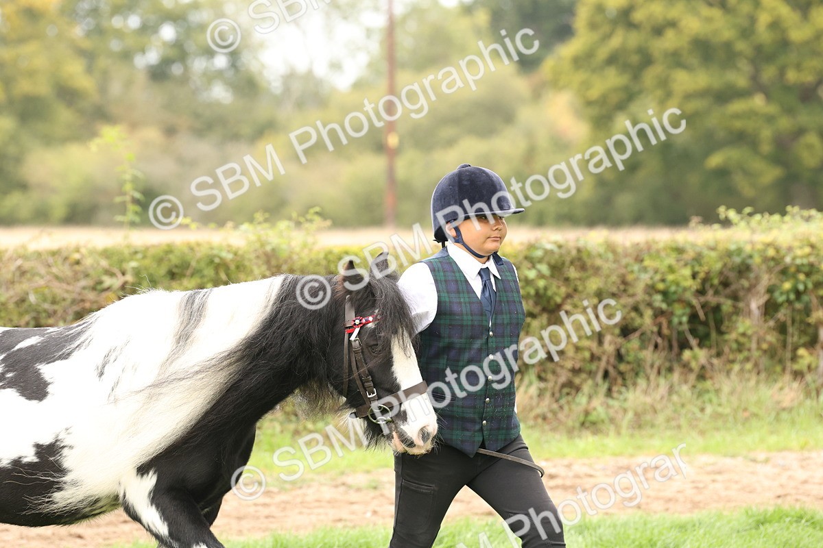 SBM_59225 - S57 - Traditional Cob In Hand