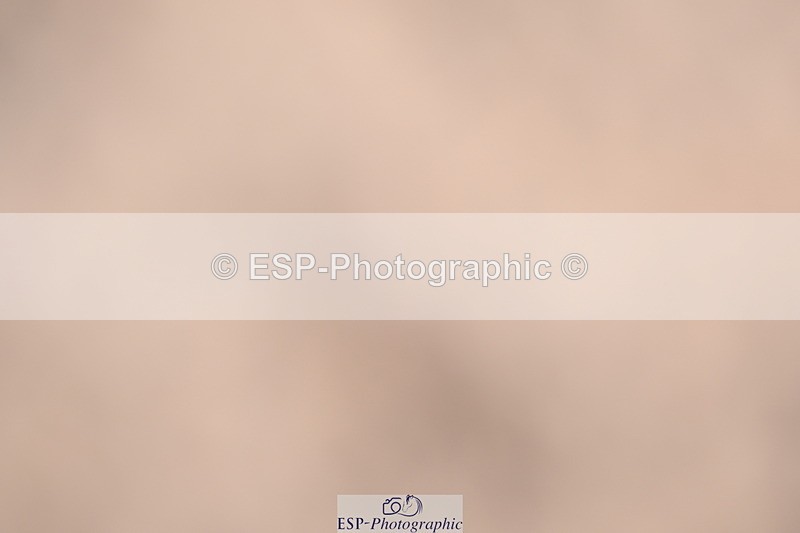 240622A-100842-08098 - Cls 28 BD Music Novice