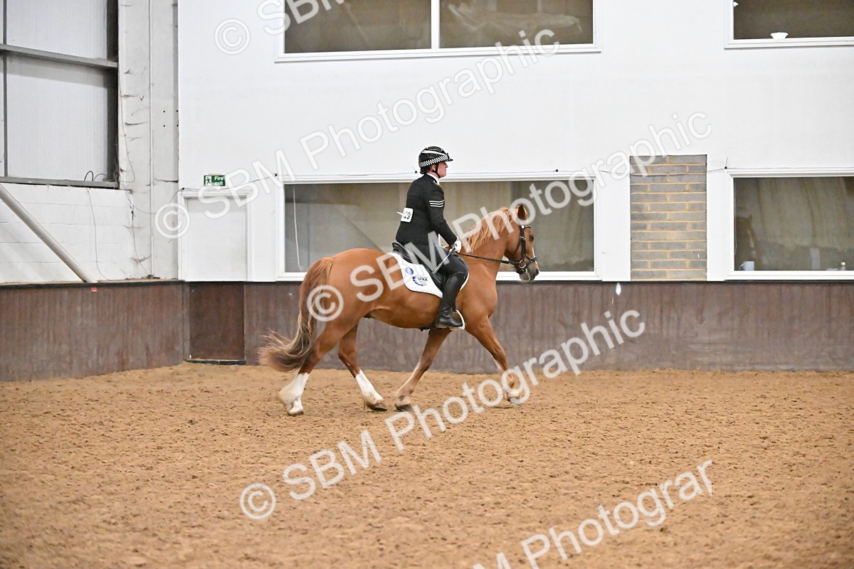 SBM_002953 - Class 37,38 - UKPSAF Performance Horse & Pony