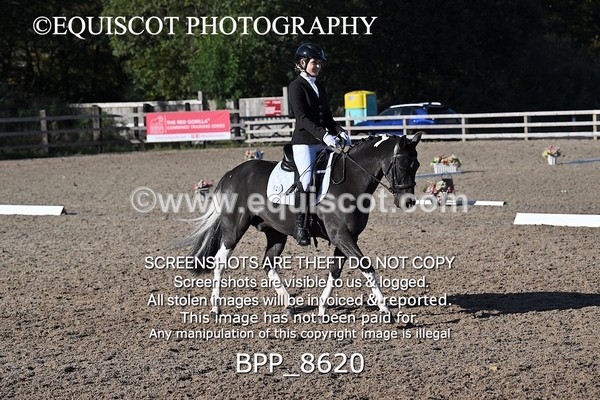 BPP_8620 - LONG ARENA
