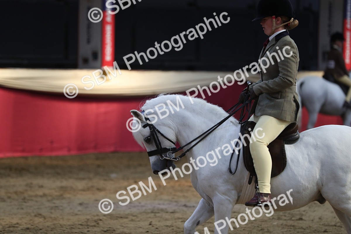 SBM_08336 - Class 11R Regional Ridden Veteran