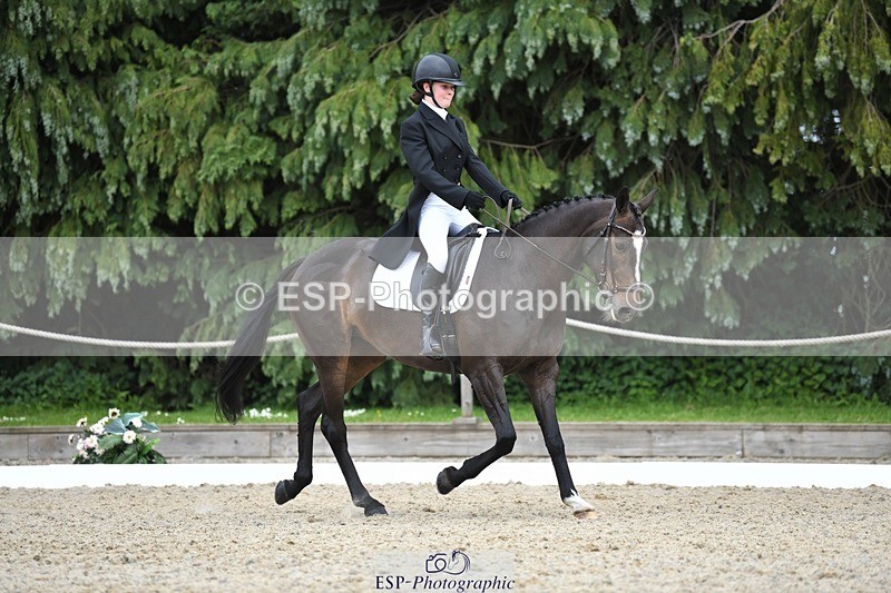 230525-142015-03128 - 320-CAVALIER_GUNFIRE-Tabitha_Baker-WEDTrotUp+DR