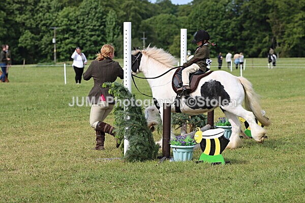 IMG_2202 - Working Hunter