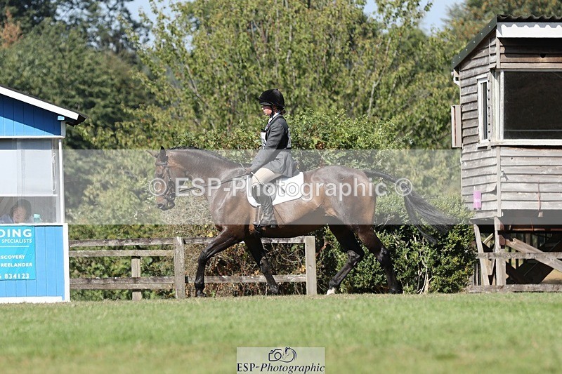 250823A-111256-27906 - Arena D