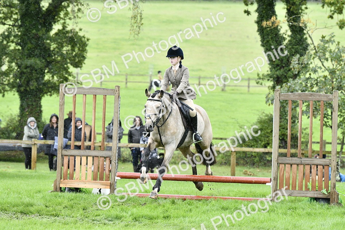 SBM_41435 - S32 - Mountain & Moorland Working Hunter Pony