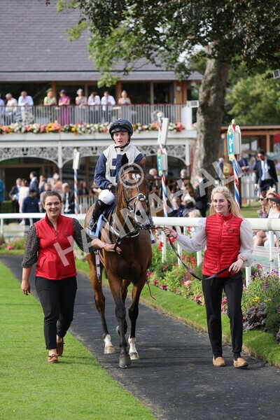 yr19082021r6-26 - Race 6 4.45pm British EBF & Sir Henry Cecil Galtres Stakes