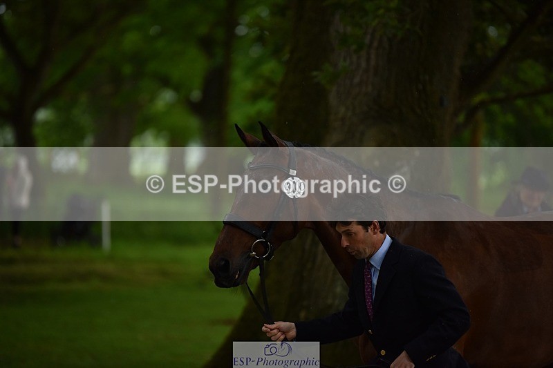 240522-151224-00164 - 308-COOLEY_ANYTHING_YOU_LIKE-Harry_Meade