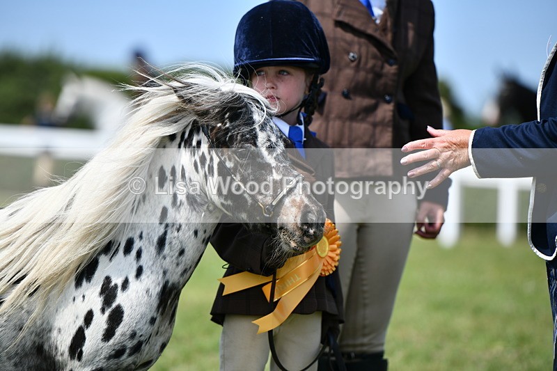 DSC_8050 - Class 66: Child Handler 10 years and under